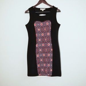 NWT Pink Rose Dress